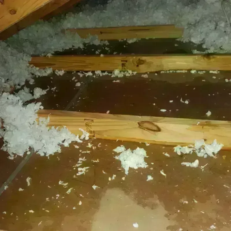 Attic Water Damage in Somerset, NJ