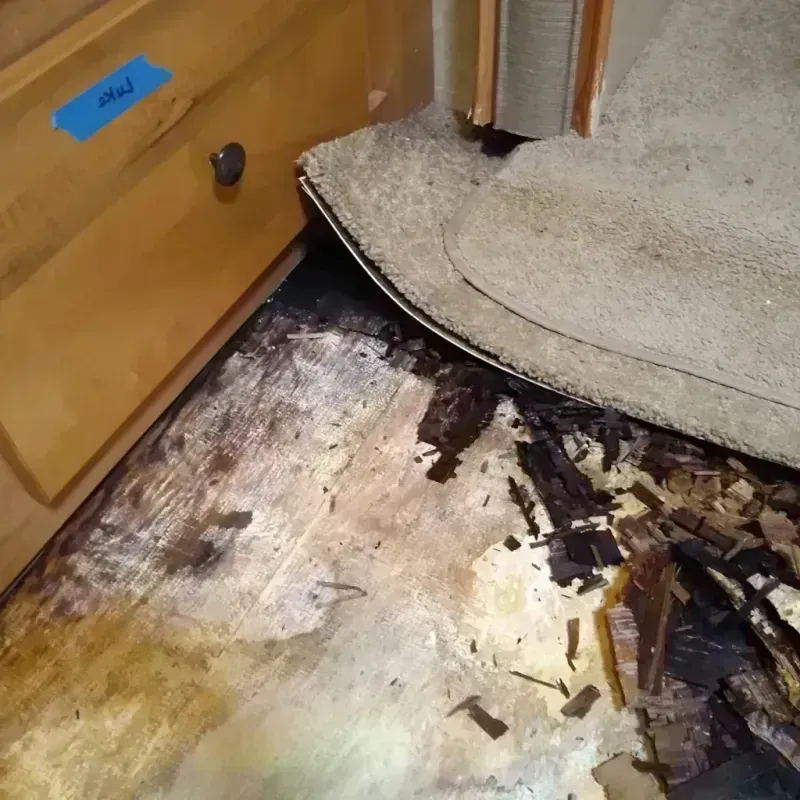 Wood Floor Water Damage in Somerset, NJ